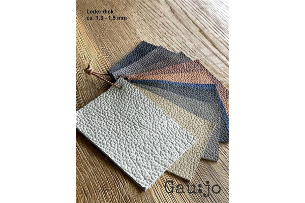 1 x Farbfächer Leder dick